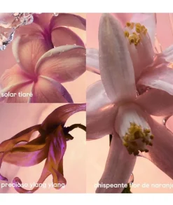 PACO RABANNE Olympea Solar Eau De Parfum 80 Ml| Agua De Perfume Mujer