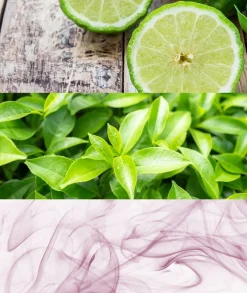 CALVIN KLEIN One Eau De Toilette Unisex 100 Ml| Fragancias Unisex