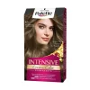 PALETTE INTENSIVE Tinte Permanente Color 6.1| Tinte Permanente